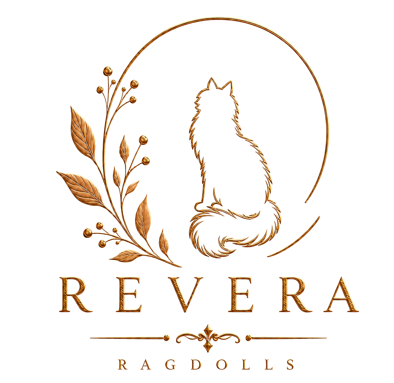 Revera Ragdolls